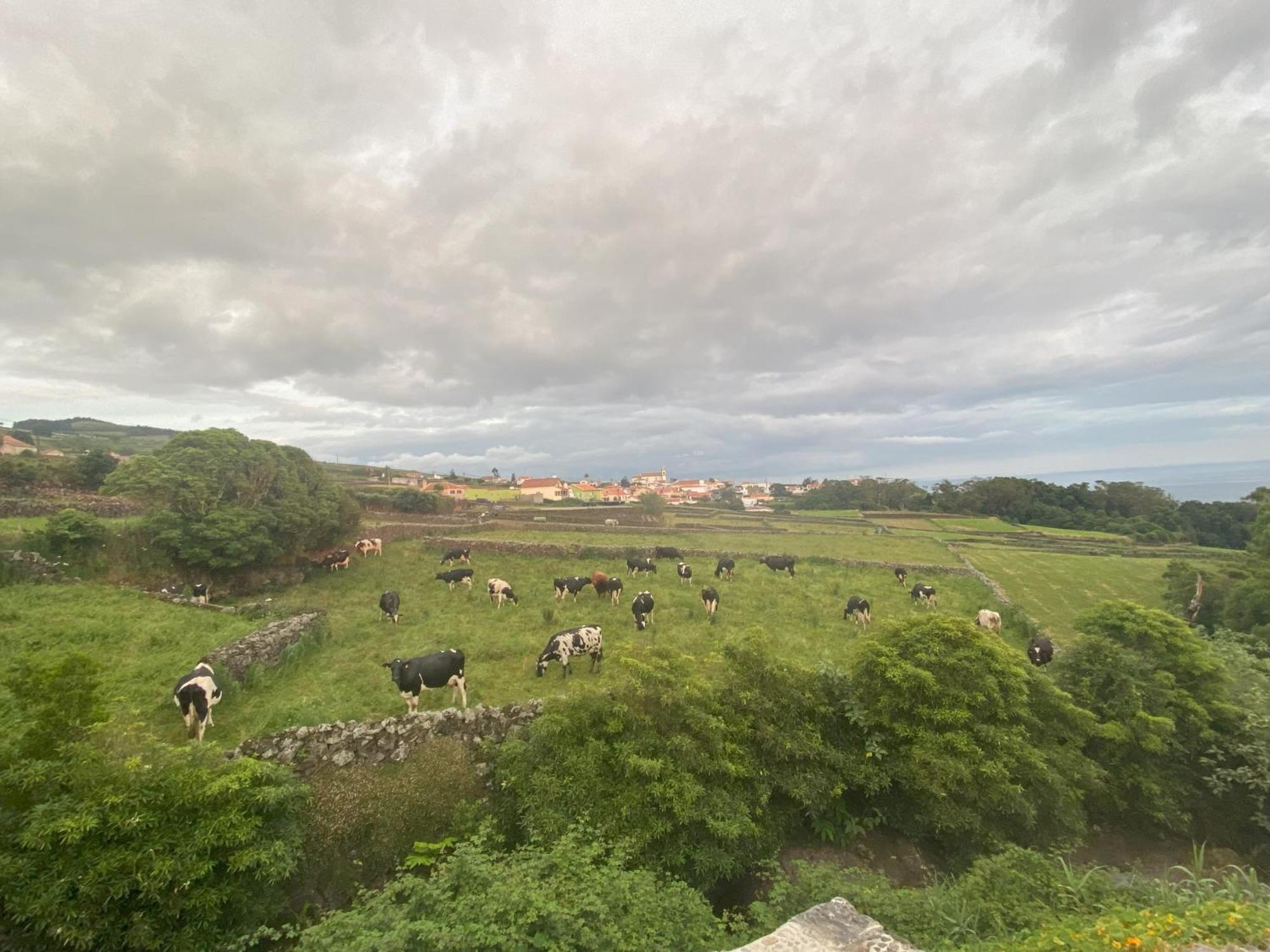 Luzz Me - Casa Das Doze Ribeiras Esterno foto
