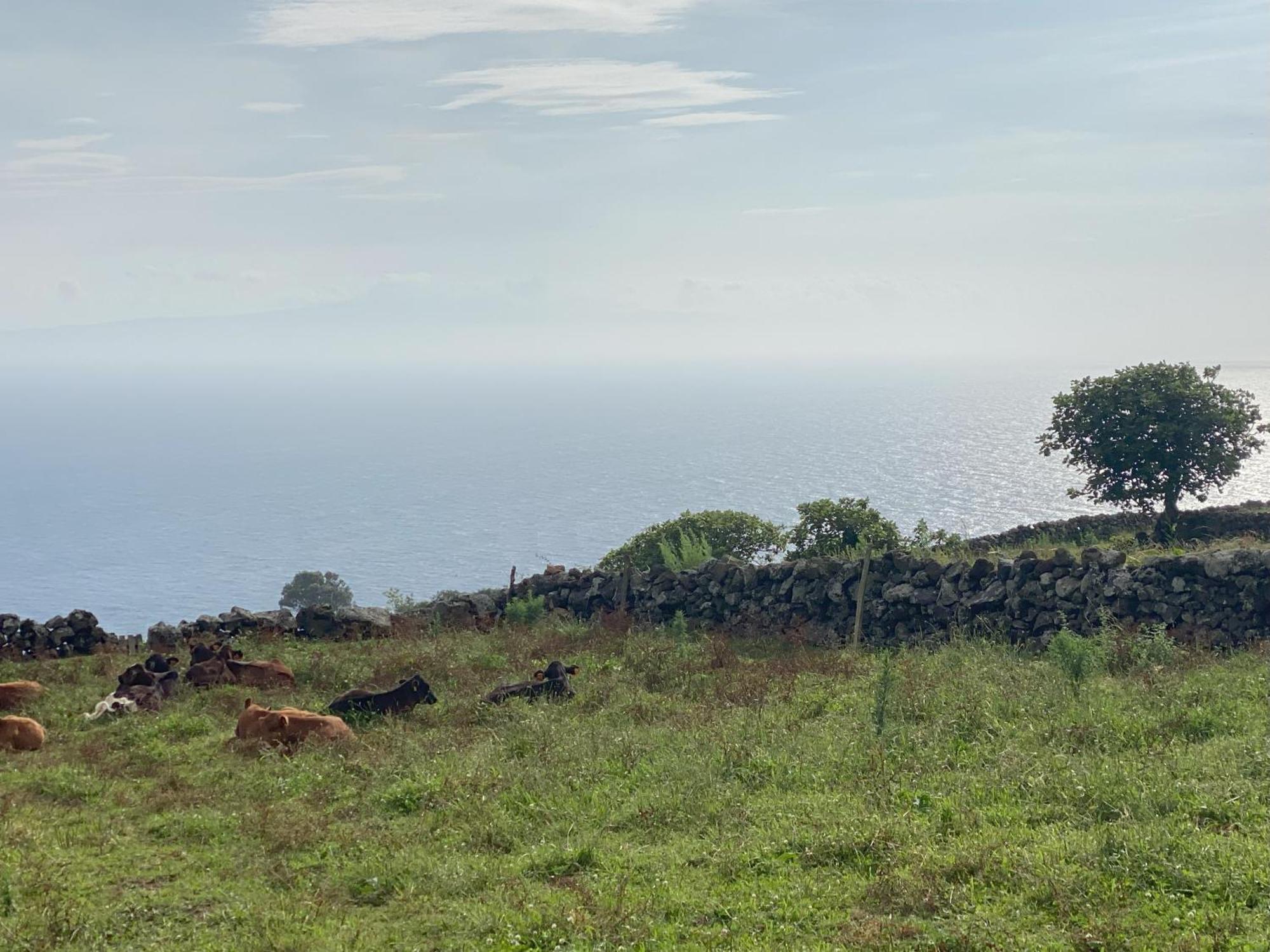 Luzz Me - Casa Das Doze Ribeiras Esterno foto